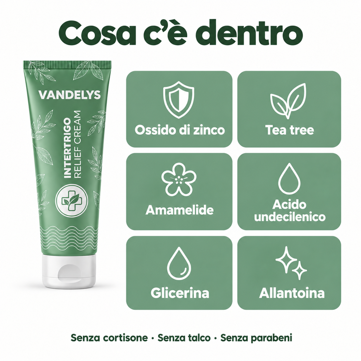 Cosa c'è dentro