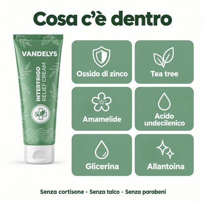 Cosa c'è dentro